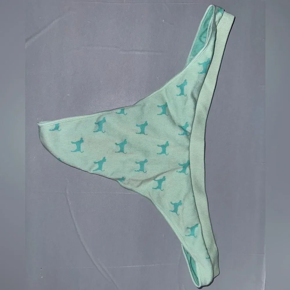 PINK Victoria’s Secret Seafoam Green Thong with Dogs Size Medium